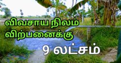 தஞ்சாவூர் மருங்குளம் ரோடு பண்ணை நிலம் விற்பனைக்கு!!!