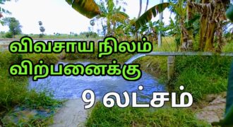 தஞ்சாவூர் மருங்குளம் ரோடு பண்ணை நிலம் விற்பனைக்கு!!!