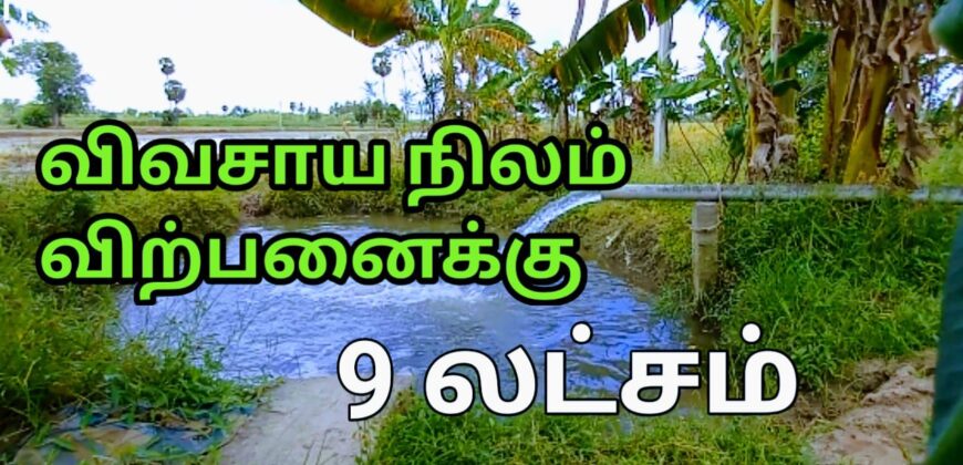 தஞ்சாவூர் மருங்குளம் ரோடு பண்ணை நிலம் விற்பனைக்கு!!!