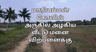 மாரியம்மன் கோவில் அருகில் அரிதின் அரிதி நகர்-ல் வீட்டுமனை விற்பனைக்கு