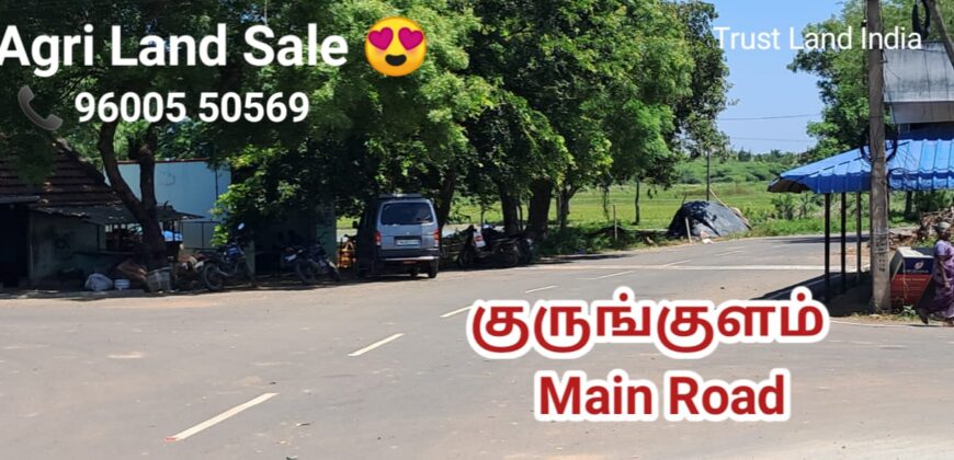 தஞ்சாவூர் To மருங்குளம் மெயின் ரோடு விவசாய நிலம் விற்பனைக்கு!