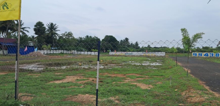 Thanjavur to Srinivasapuram road Agri Land for sale!