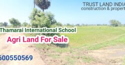 Thamarai Internation Scl Near Agri Land For Sale!