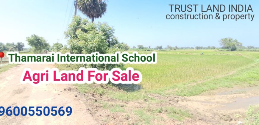 Thamarai Internation Scl Near Agri Land For Sale!
