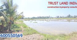 Thamarai Internation Scl Near Agri Land For Sale!