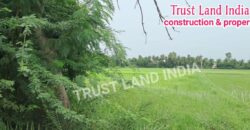 Thanjavur to Srinivasapuram road Agri Land for sale!
