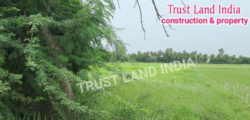 Thanjavur to Srinivasapuram road Agri Land for sale!