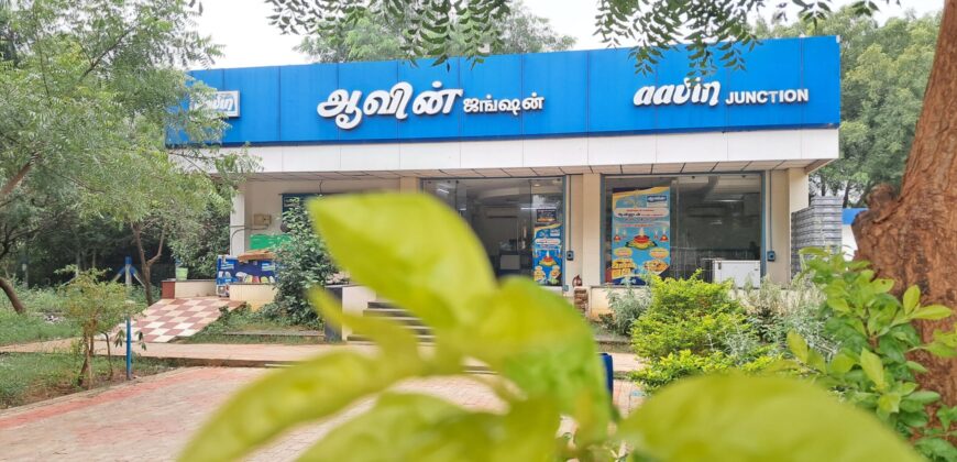 TEACHERS COLONY NEAR PLOT FOR SALE!