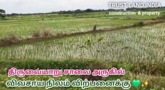 Agricultural Land for Sale on Thanjavur to Thiruvaiyaru Road