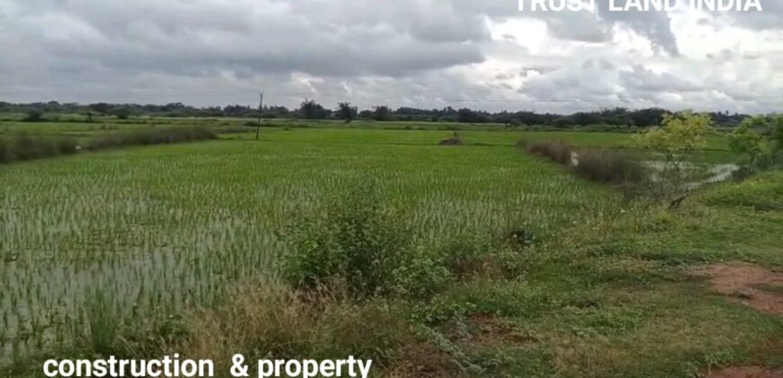 Agricultural Land for Sale on Thanjavur to Thiruvaiyaru Road