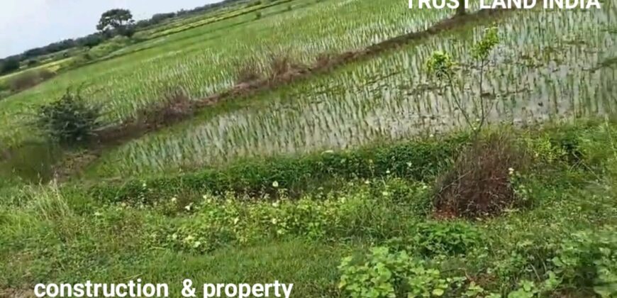 Agricultural Land for Sale on Thanjavur to Thiruvaiyaru Road