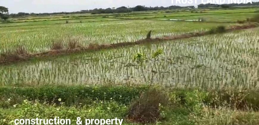 Agricultural Land for Sale on Thanjavur to Thiruvaiyaru Road