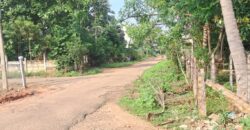 EB COLONY NEAR PLOT FOR SALE !