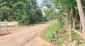 EB COLONY NEAR PLOT FOR SALE !