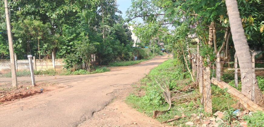 EB COLONY NEAR PLOT FOR SALE !