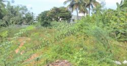 MC ROAD NEAR SARAFOJI NAGAR PLOT FOR SALE!