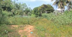 MC ROAD NEAR SARAFOJI NAGAR PLOT FOR SALE!