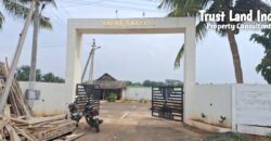 Nanjikottai Road Parvathy Nagar Plot For Sale!