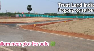 VALLAM NEAR PLOT FOR SALE!
