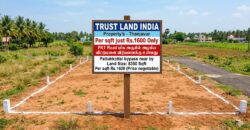 PATTUKKOTTAI ROAD NEAR PLOT FOR SALE!