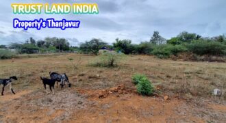 PATTUKKOTTAI ROAD NEAR BY PLOT FOR SALE!