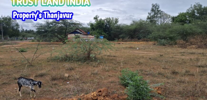 PATTUKKOTTAI ROAD NEAR BY PLOT FOR SALE!