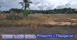 SELVAM NAGAR NEAR HOUSE FOR SALE!